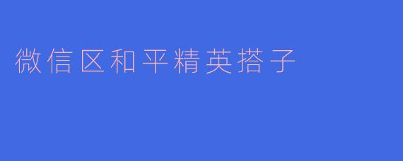 微信区和平精英搭子的魅力与挑战