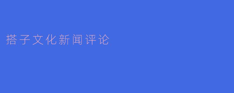 搭子文化新闻评论