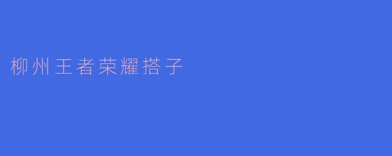 柳州的王者荣耀搭子在哪里可以找到?