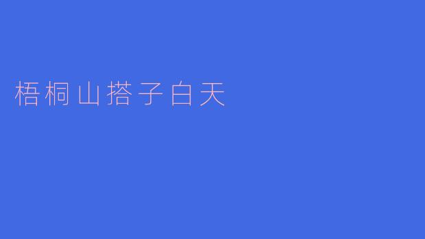 梧桐山搭子白天