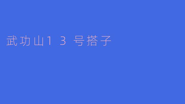 武功山13号搭子