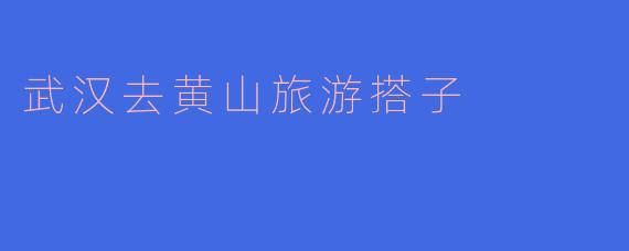 从武汉去黄山旅游,有哪些推荐的搭子或者旅行方式?