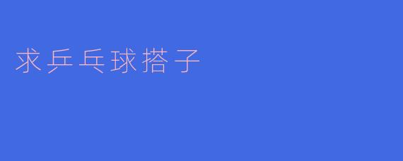 求乒乓球搭子
