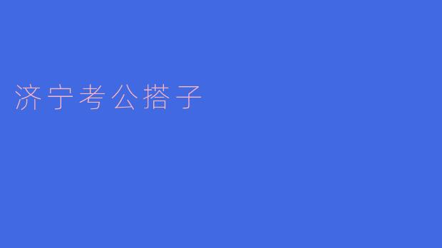 济宁考公搭子是什么意思？**