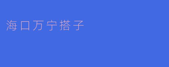 海口万宁搭子