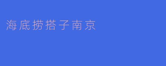 海底捞搭子南京