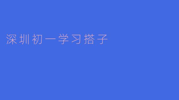 ### 深圳初一学习搭子的意义与选择