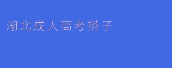 湖北成人高考搭子