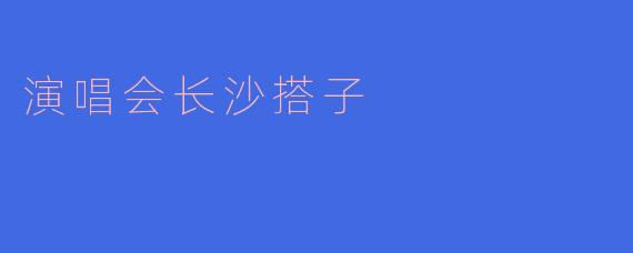 请问长沙有什么好的演唱会搭子推荐吗？