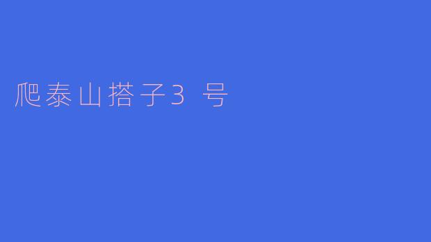 ### 爬泰山搭子3号——一段难忘的旅程