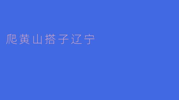爬黄山的时候,有什么地方特别适合搭伴一起游玩的?