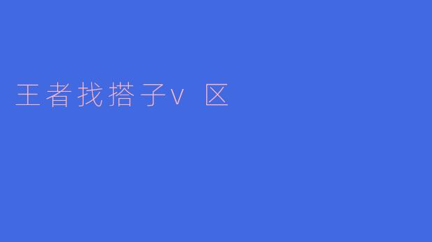 王者找搭子v区