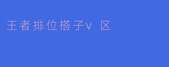 王者排位搭子v区