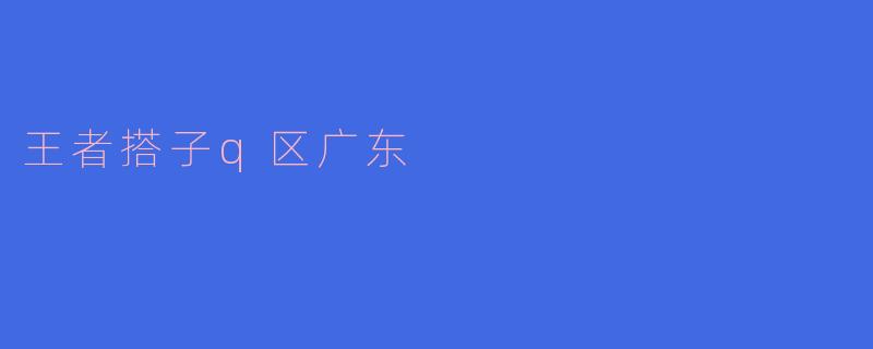 王者搭子q区广东