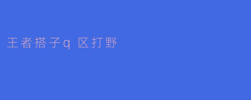 王者搭子q区打野