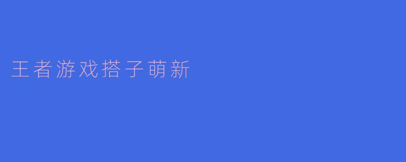 王者游戏搭子萌新
