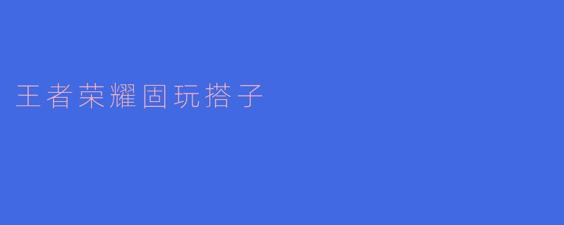 王者荣耀固玩搭子