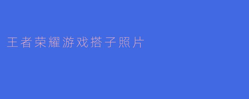 王者荣耀游戏搭子照片