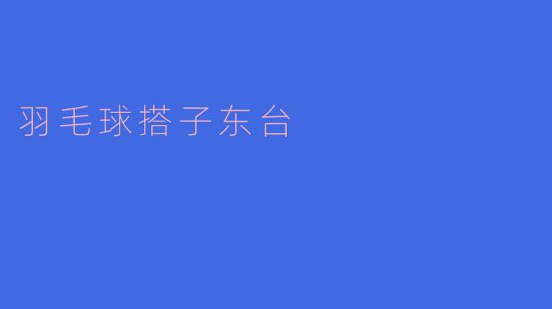 羽毛球搭子东台