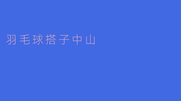 羽毛球搭子中山