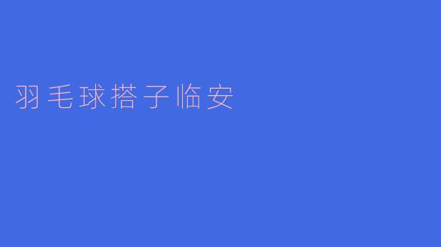 羽毛球搭子临安