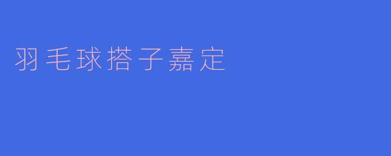 探索羽毛球世界，打造嘉定搭子文化