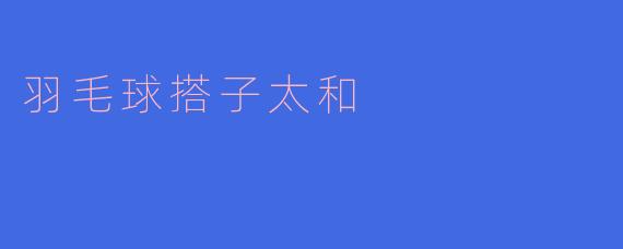 羽毛球搭子太和