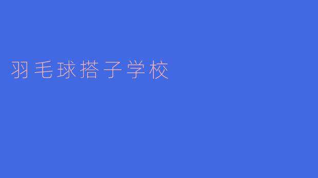 羽毛球搭子学校
