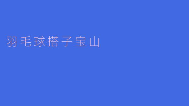 ### 羽毛球搭子宝山：挥洒汗水，收获友谊