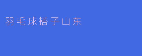 羽毛球搭子山东