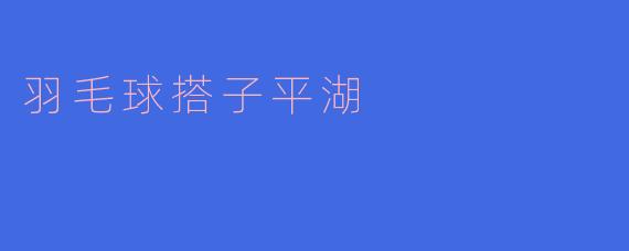 羽毛球搭子平湖