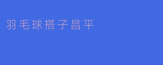 羽毛球搭子昌平