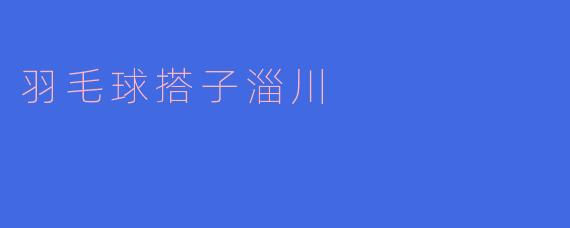 羽毛球搭子淄川