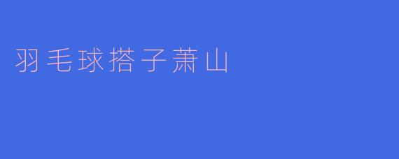 ### 羽毛球搭子萧山：运动与友谊的完美结合
