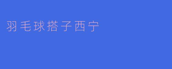 羽毛球搭子西宁