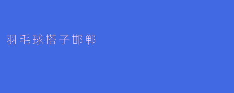 羽毛球搭子邯郸:共享运动激情,提升竞技水平