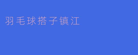 羽毛球搭子镇江