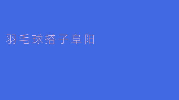 羽毛球搭子阜阳:热情挥拍,共享运动乐趣