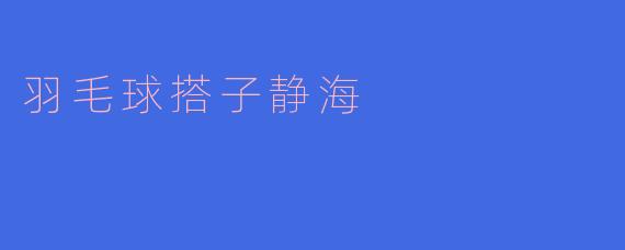 羽毛球搭子静海