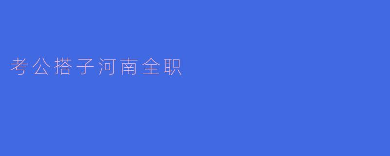 考公搭子：河南全职的奋斗之路