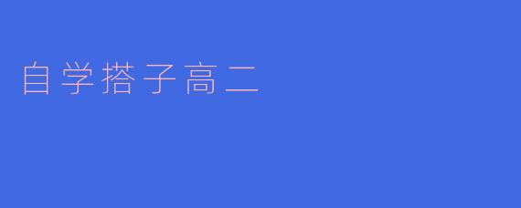 自学搭子高二