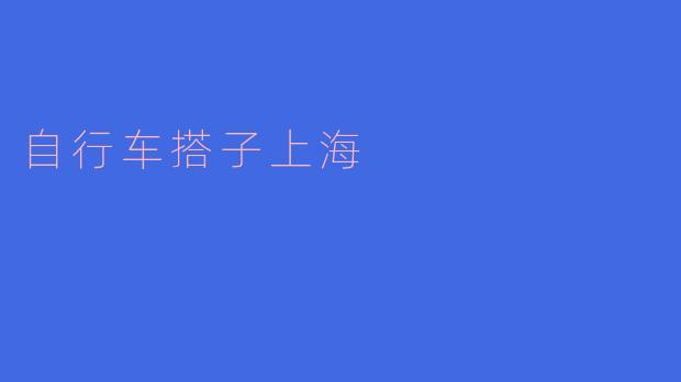 自行车搭子上海