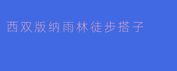 西双版纳雨林徒步搭子