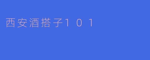 西安酒搭子101