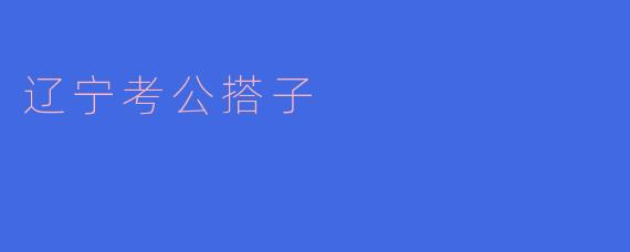 ### 辽宁考公搭子的兴起：一个备考新趋势