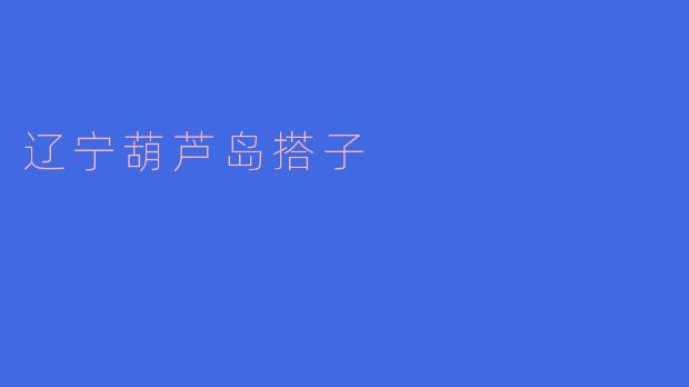 探秘辽宁葫芦岛的“搭子”文化