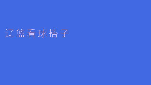 辽篮看球搭子是不是能让观赛更加有趣?
