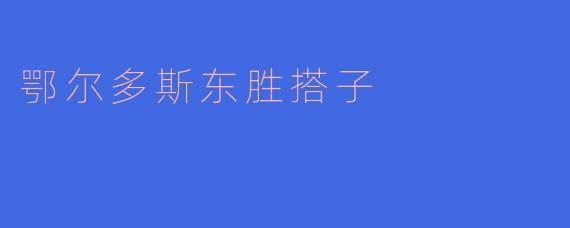 鄂尔多斯东胜搭子
