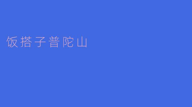 普陀山有哪些适合与“饭搭子”一起去的美食推荐?
