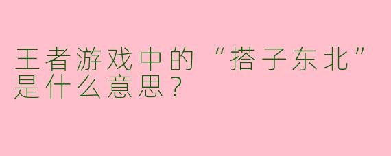 王者游戏中的“搭子东北”是什么意思？
